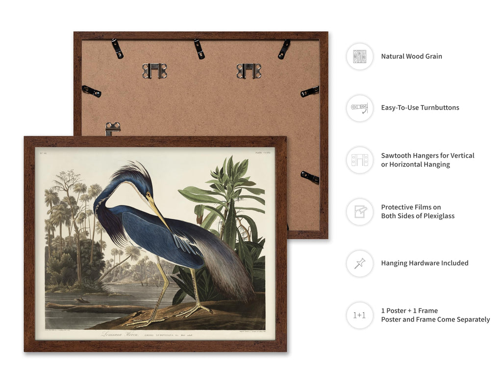 Master Vintage James Audubon Poster - Retro Louisiana Heron Print - Birds of America Art - Gift for Men, Women &