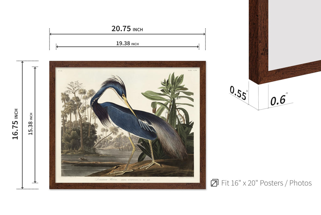 Master Vintage James Audubon Poster - Retro Louisiana Heron Print - Birds of America Art - Gift for Men, Women &