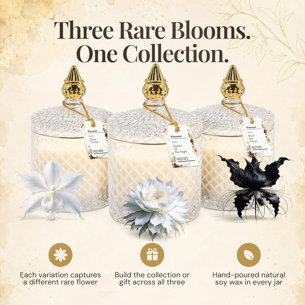 Ghost Orchid Rare Flower Fragrance Luxury Scented Candle Gift - Set of 148
