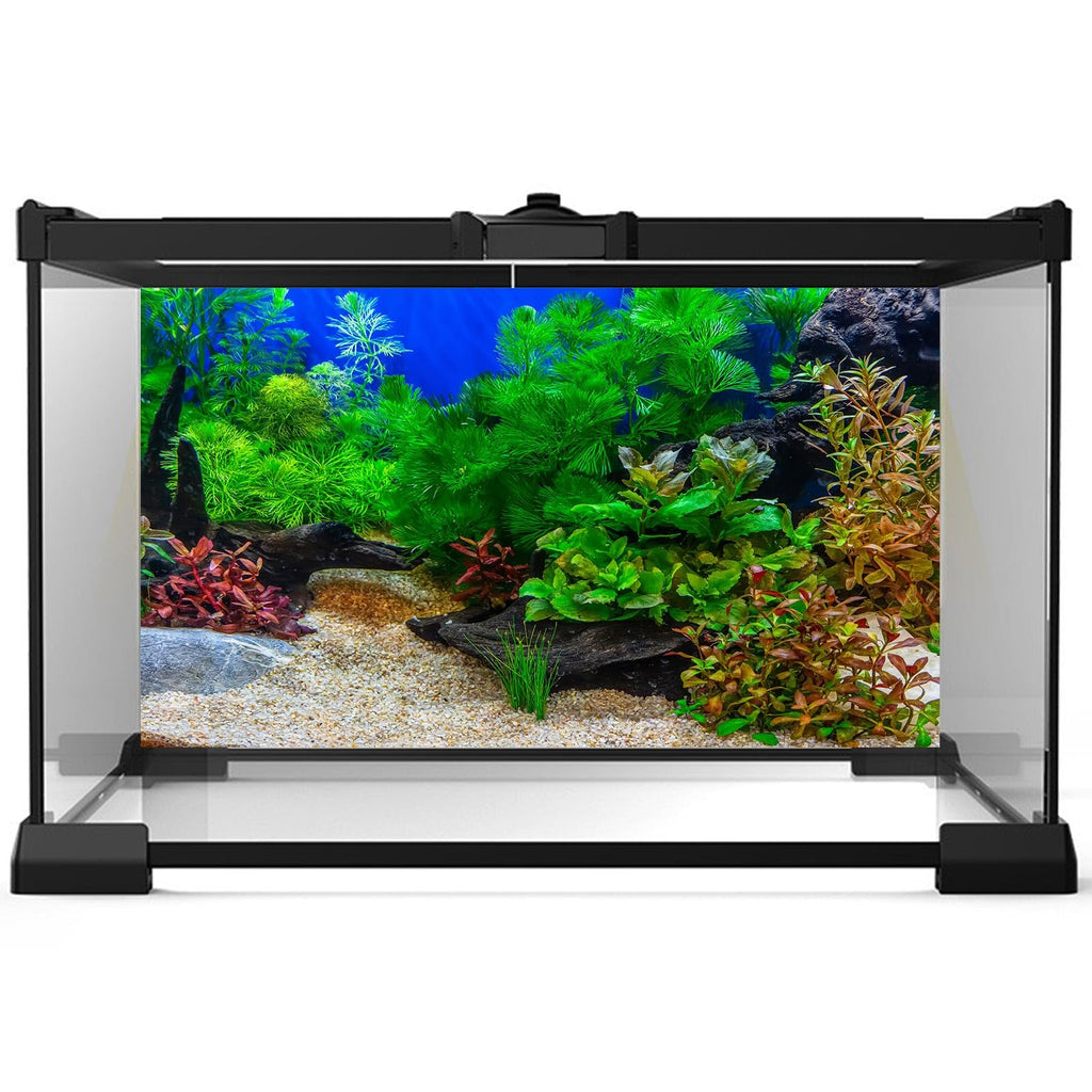 Aquarium Background Underwater Grass Leaves with Pebble Aquarium Backdrop Vivid and Fresh Green Aquatic Plant Stone