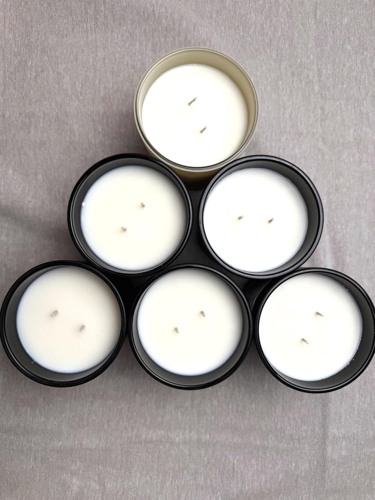 Quiet Hollow | Scented Candle for Women & Men | Hand-Poured, Aromatic & Fragrant | 60 Hour Burn Time 12 OZ | Soy - Set of 12