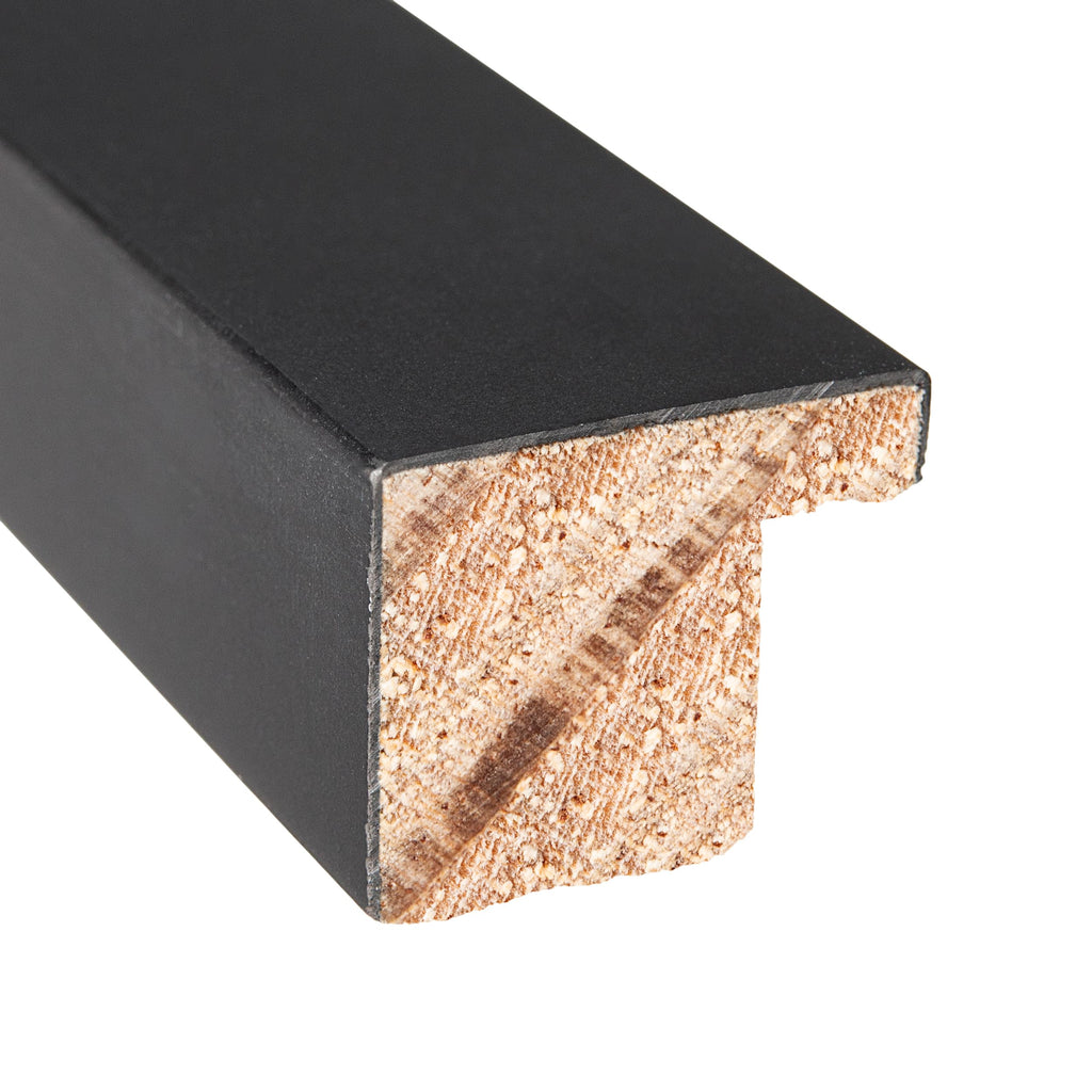 46x25 Frame Black Picture Frame - Complete Modern Photo Frame Includes UV Acrylic Shatter Guard Front, Acid Free Foam