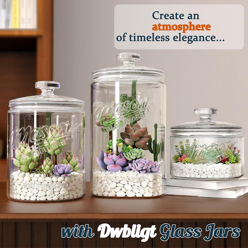 1.5 Gallon Glass Cookie Jar, 1 Pack Large Food Storage Container