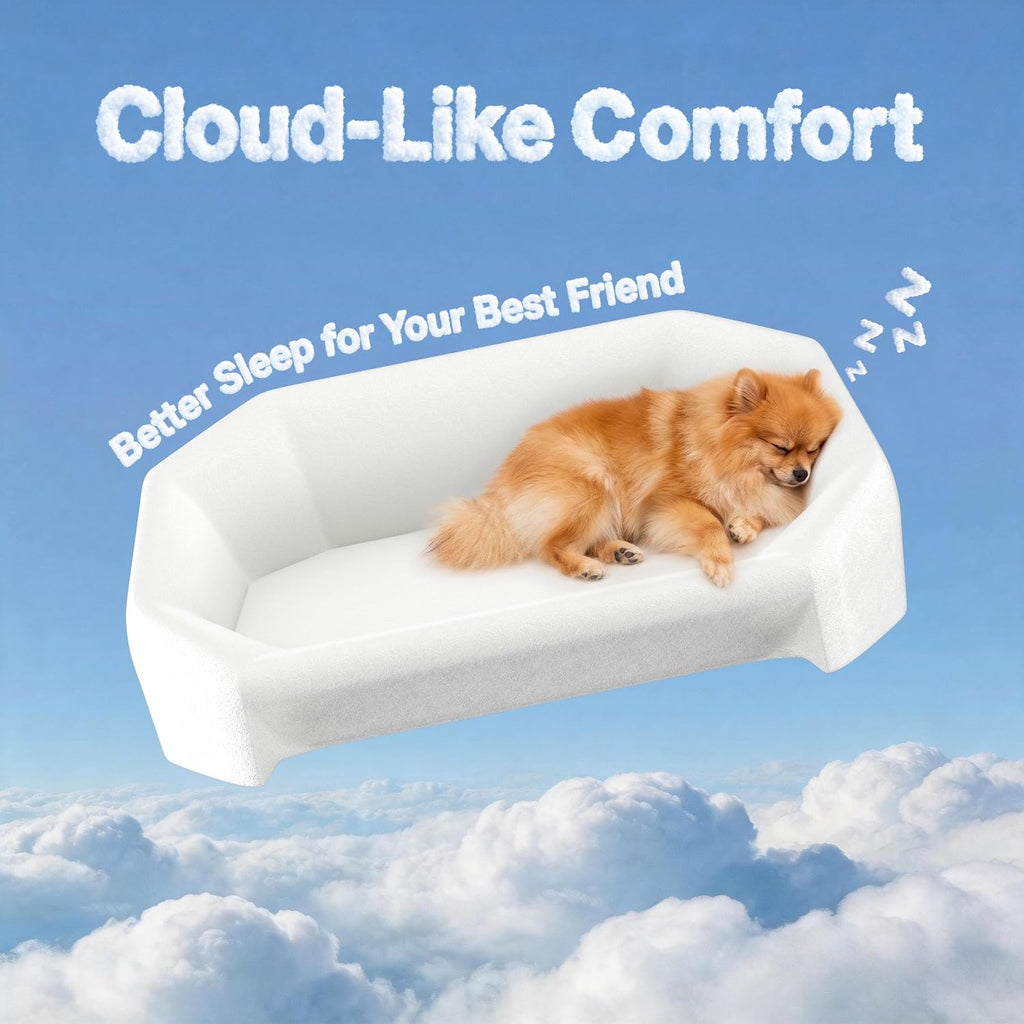 Dog Bed for Small Dogs with 3 Covers, Extra Thick Memory Foam