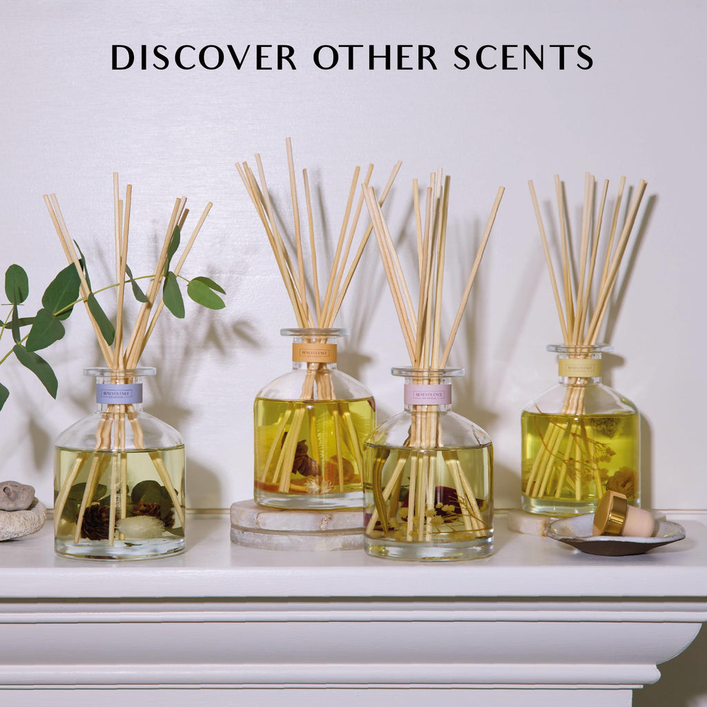 Pacific Driftwood Reed Diffuser | Eucalyptus, Fig & Sandalwood | Home Fragrance Diffuser | Long-Lasting Scent Sticks