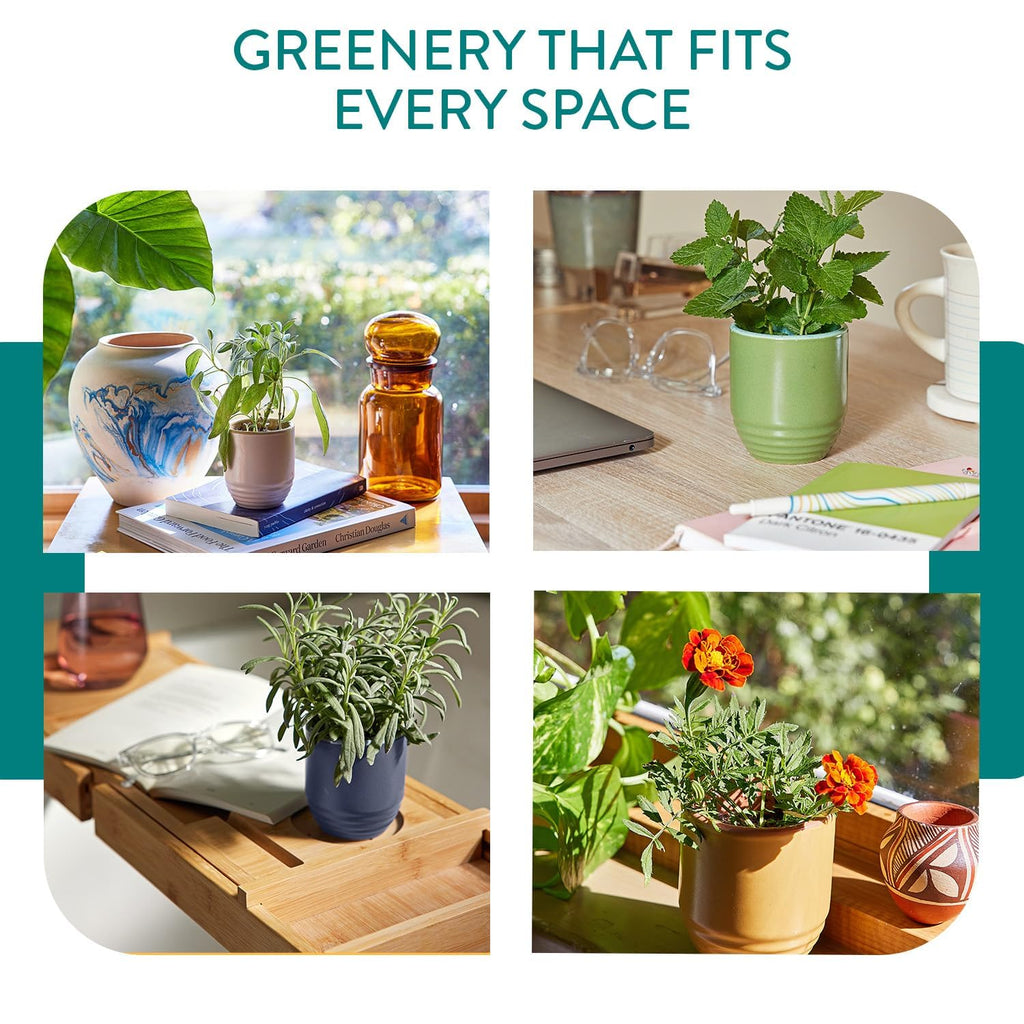 Garden Vibes - 6oz Soy Wax Candle and Planter - Last Light