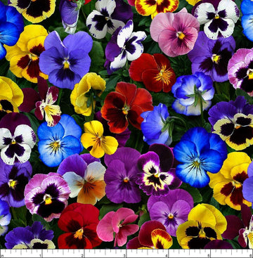 Cotton Lovely Pansies Pansy Flowers Floral Packed Multi Cotton Fabric Print by The Yard (475-multi)