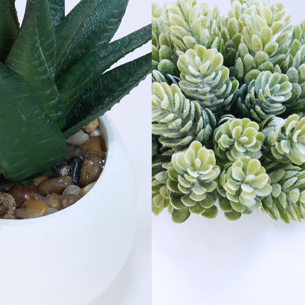 Set of 3 Assorted Artificial Succulent Plants in White Concrete Pots Faux Aloe Hops String of Pearls Potted Plants