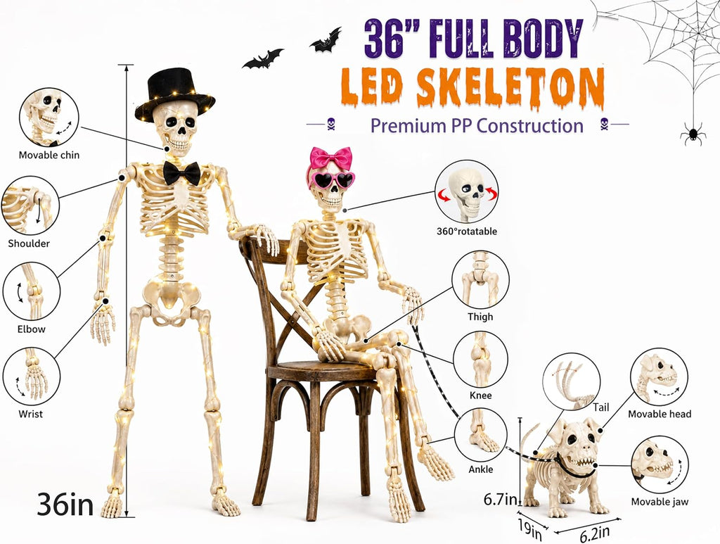 36-Inch 3-Piece Lighted Human & Dog Skeleton Halloween Decor - Set of 3