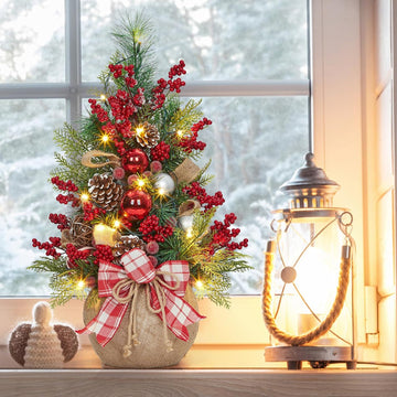 24" Pre-Lit Mini Christmas Tree with LED Lights - Battery Operated Tabletop Decor, Frosted Artificial Tree /Office