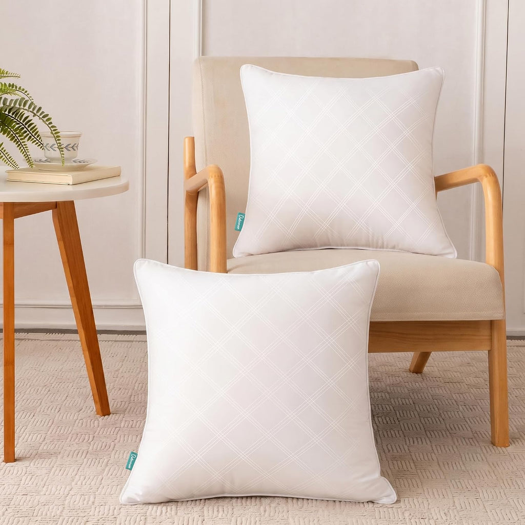 20x20 Throw Pillow Inserts, Soft Decorative Couch Cushion - Set of 2
