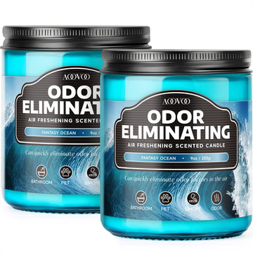 Ocean 2 Pack Odor Eliminating Candle - 18 oz Soy Candles