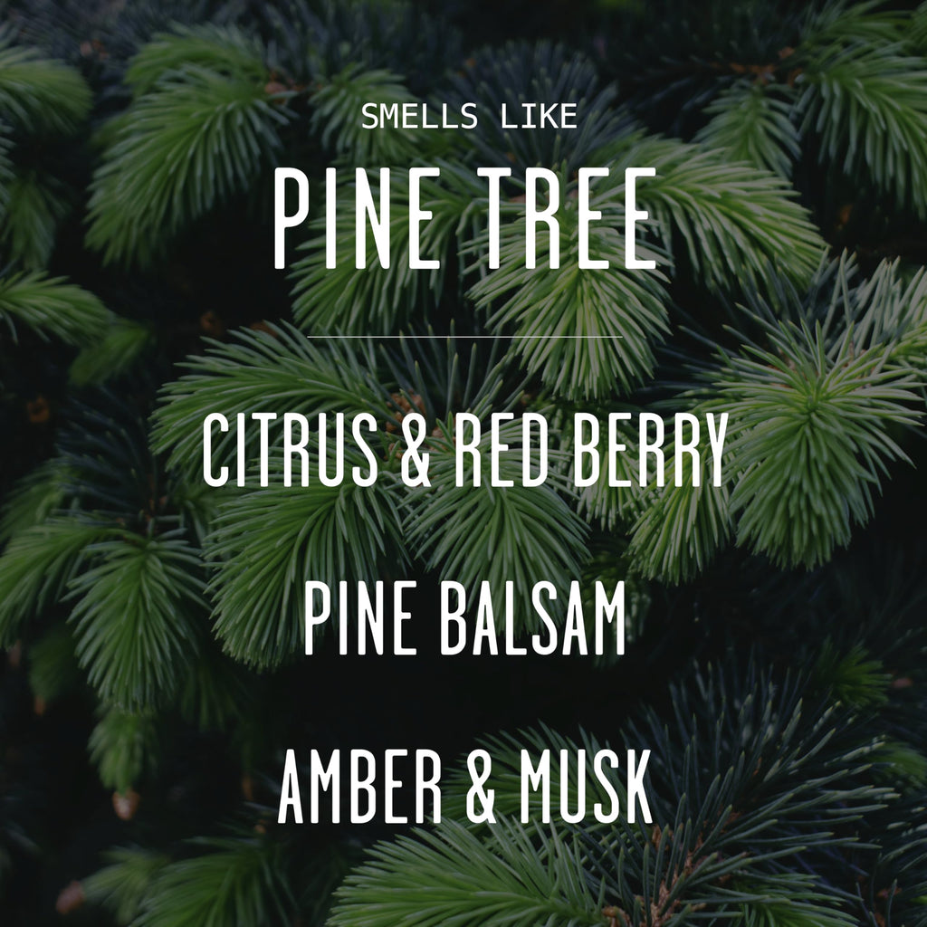 Pine Reed Diffuser, 'Pine Tree' - w/Balsam Fir, Cedar & Citrus I Infused w/Essential Oils I Christmas Diffuser Decor
