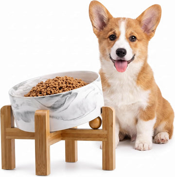 Elevated Ceramic Dog Bowl 15°Slanted Raised Dog Bowl with Bamboo Stand for Small Medium Dogs and Cats, Pet Feeder