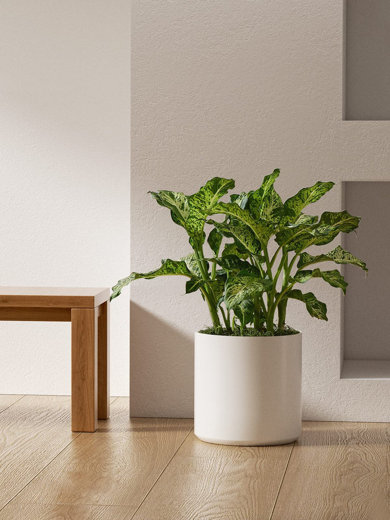 12 Inch Pot for Plants, Ceramic Indoor Planter, White