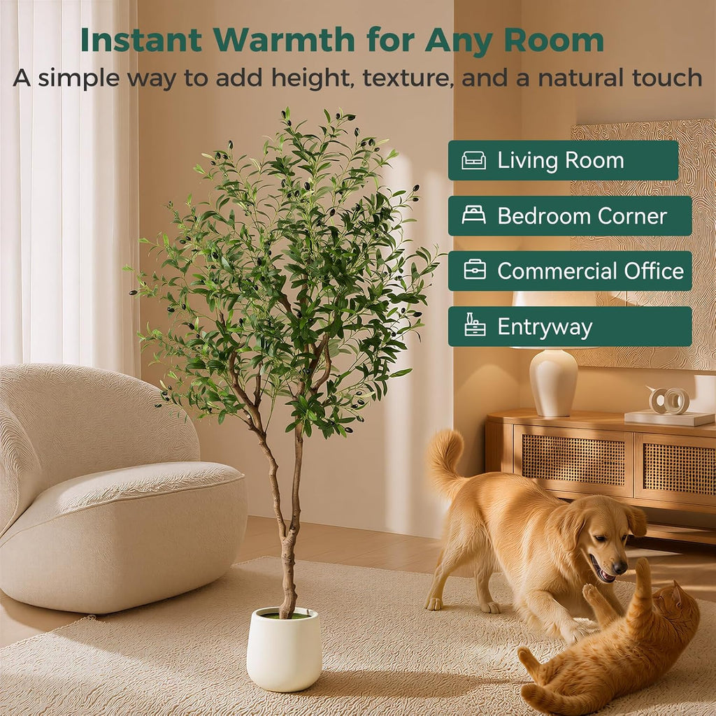 6FT Faux Olive Tree with Decorative Planter, Olive Trees Artificial Indoor with Textured Trunk, Silk Leaves and Olive