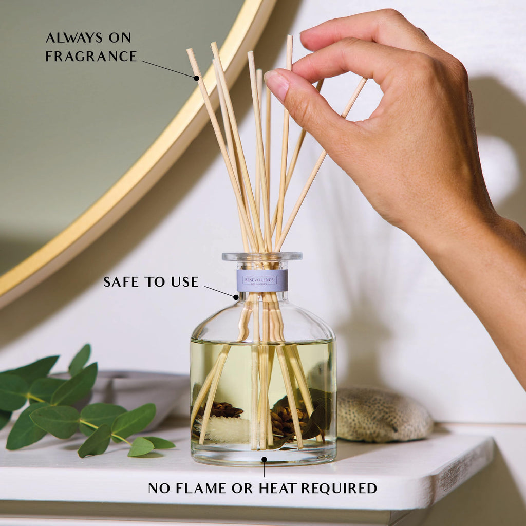 Pacific Driftwood Reed Diffuser | Eucalyptus, Fig & Sandalwood | Home Fragrance Diffuser | Long-Lasting Scent Sticks