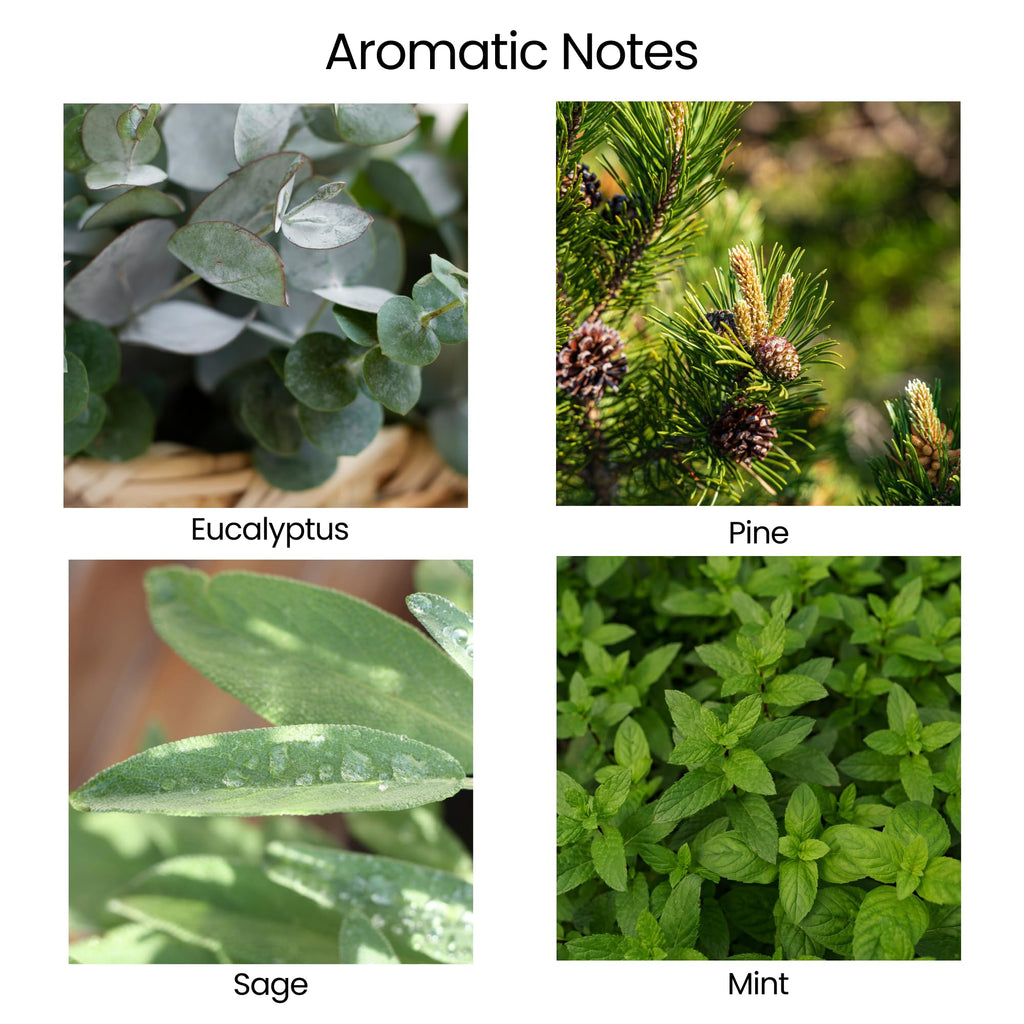 Soy Healing Energy Renewal | Aromatherapy with Eucalyptus, Pine, Sage & Mint | 50 Hour Burn, Meditation & Spiritual