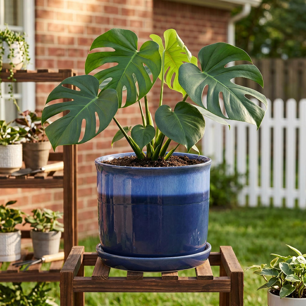 8 Inch Ceramic Plant Pot with Bonded Saucer & Drainage Hole, Large Modern Blue Flower Planter for Indoor Outdoor