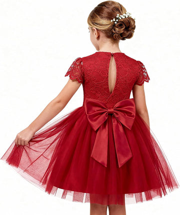 Flower Girl Dress Big Bow Kids Lace Tulle Princess Wedding Gown