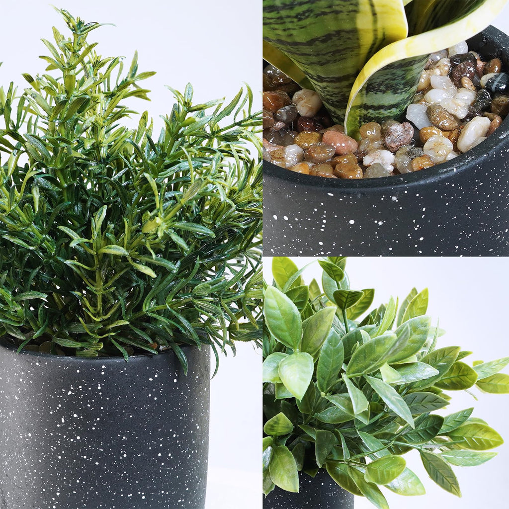 3-Pack Artificial Potted Succulent Plants - Aloe, Hops, String of Pearls - Realistic Faux Plants in Black Cement Pots