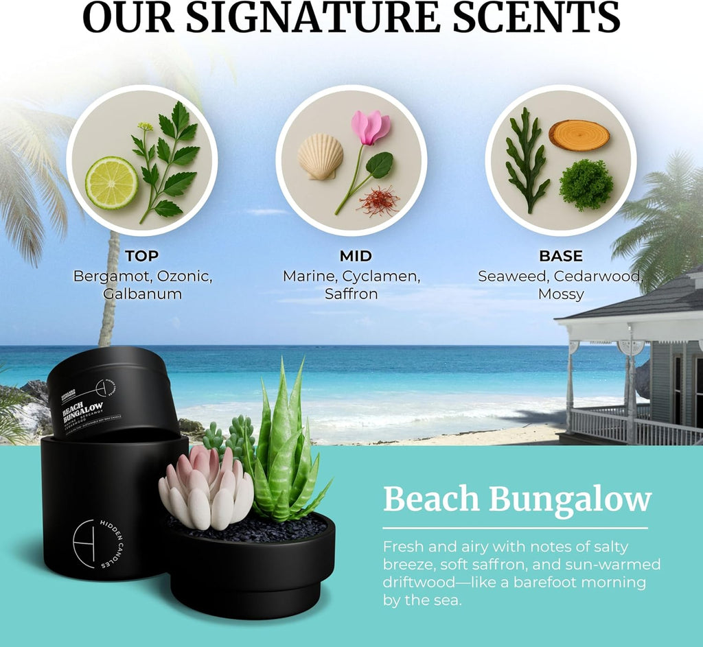 Hidden Candle - Beach Bungalow | Marine, Bergamot & Cedarwood Scented Candle with Faux Succulent | 10.6oz Soy Wax - Set of 106