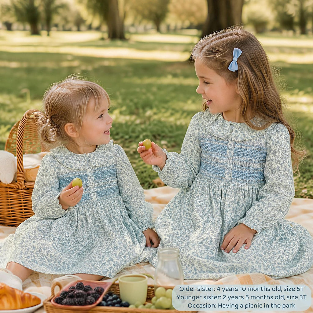 Toddler Girls Smocked Dress,Long Sleeve
