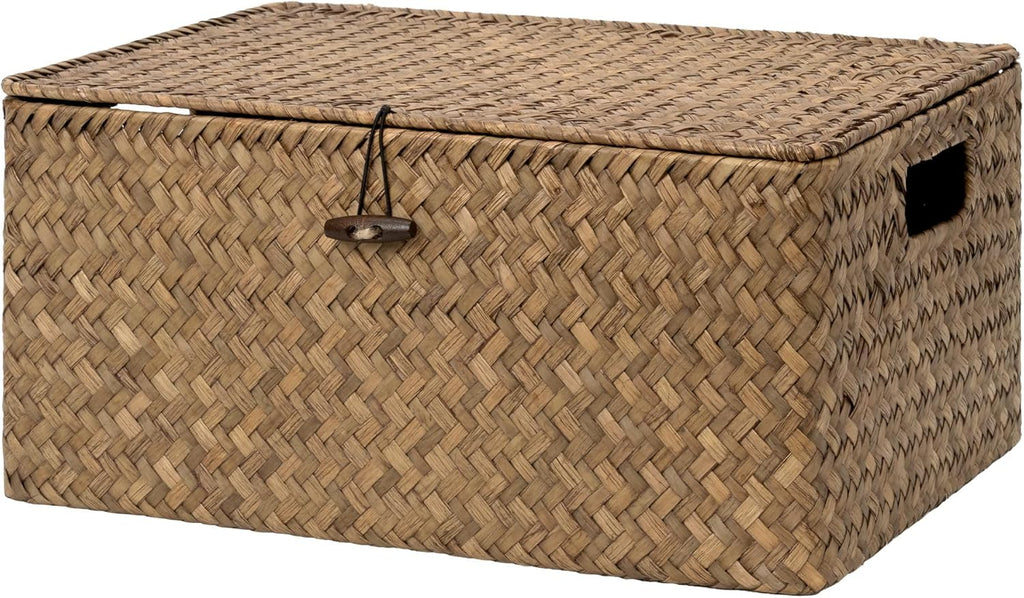 Wicker Baskets with Lid for Organizing, Seagrass Storage Baskets for Shelves, Decorative Box with Built-in Handles
