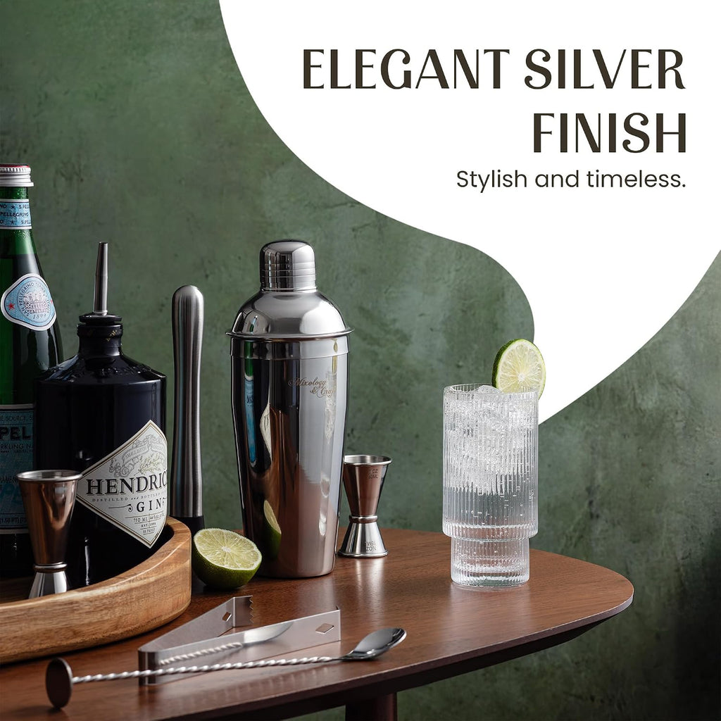 All-in-One Stainless Steel Cocktail Shaker Kit with 24 oz Cobbler Shaker, Includes Strainer, Muddler, Spoon, Jiggers
