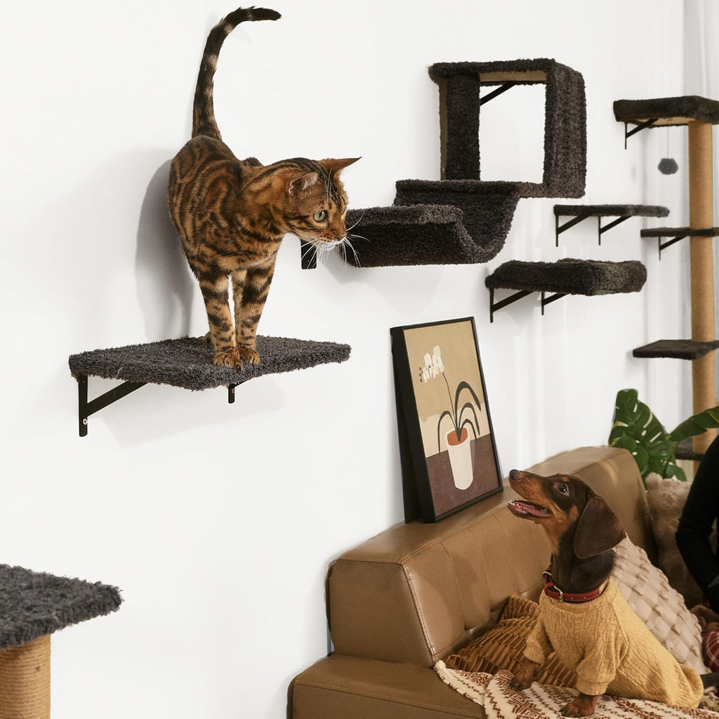 Cat Wall Shelves, 4 in 1 Set, Grey