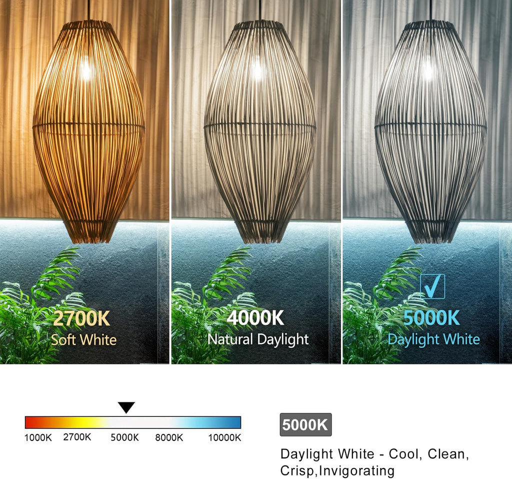 6 PCS ST58 Dimmable Spiral Vintage E26 LED Bulb 60 Watt LED Edison Bulbs
