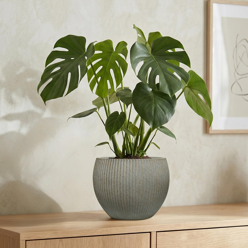 10.2"Dia x 7.8"H Modern Ribbed Plastic Round Planter Pot without Drain