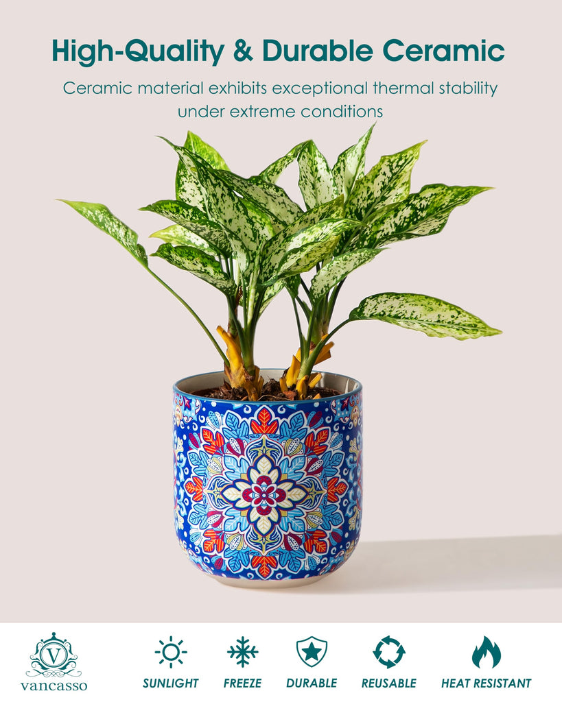 6 Inch Ceramic Plant Pots, Planters with Drainage Hole, Flower Pots Planters Pots for Indoor Plants, Modern Indoor