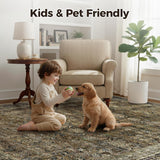 Area Rugs