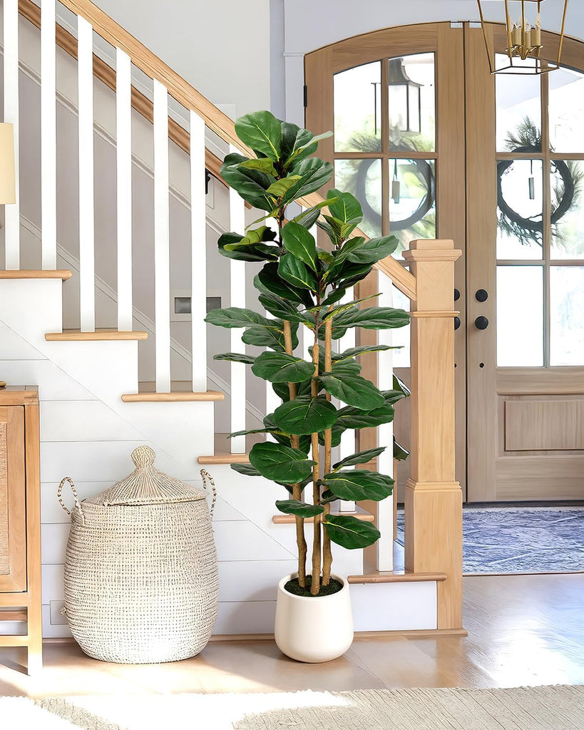 Artificial Fiddle Leaf Fig Tree in Modern White Planter, 5ft