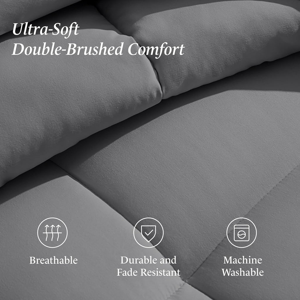 Ivy Union Queen Comforter Set - Comfy, Breathable, All Season - Down Alternative Comforter & Shams