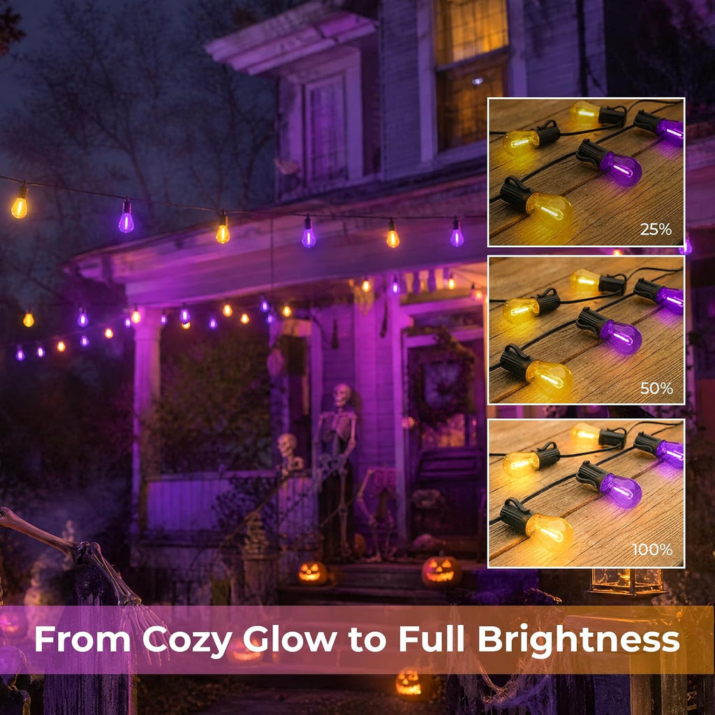 S14 Orange & Purple Replacement Bulbs Lights