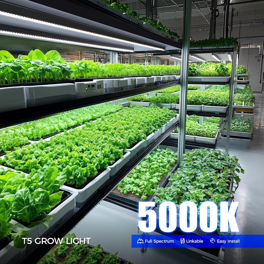 T5 Plant Lights, 4FT 160W (8 X 20W), 5000K, 8 Packs, Black Cover