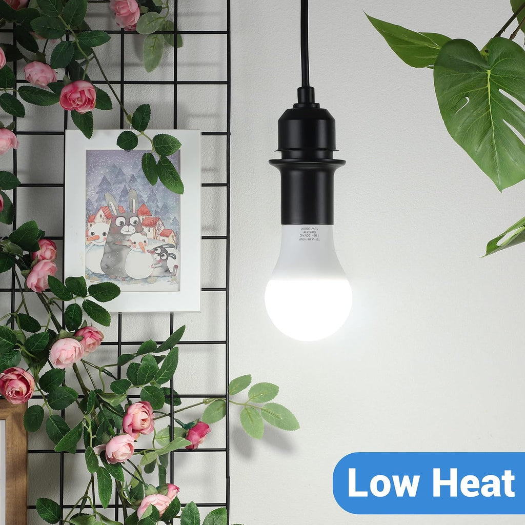 A21 LED Light Bulbs 150W Equivalent 5000K Daylight White, 6-Pack