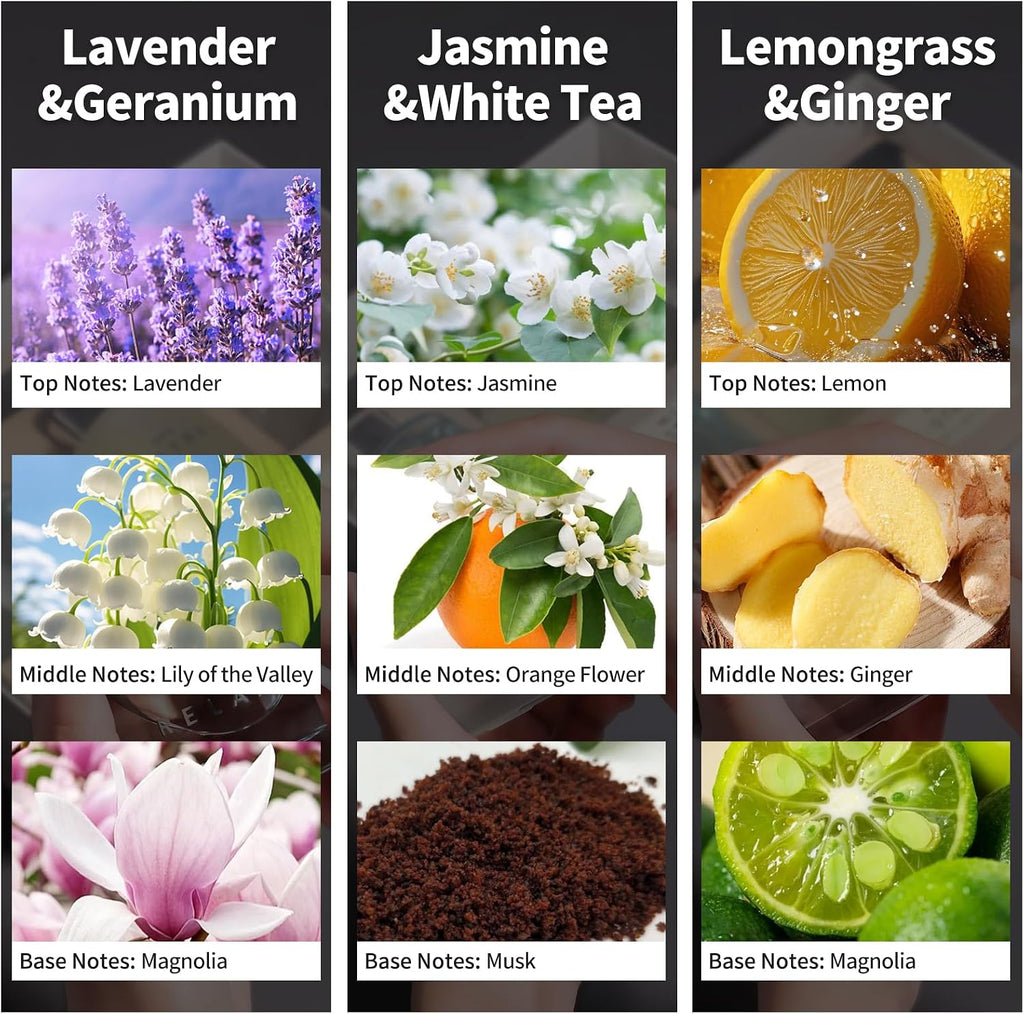 Fragrance Reed Diffuser, 50ML Lavender Jasmine Lemongrass - Set of 3