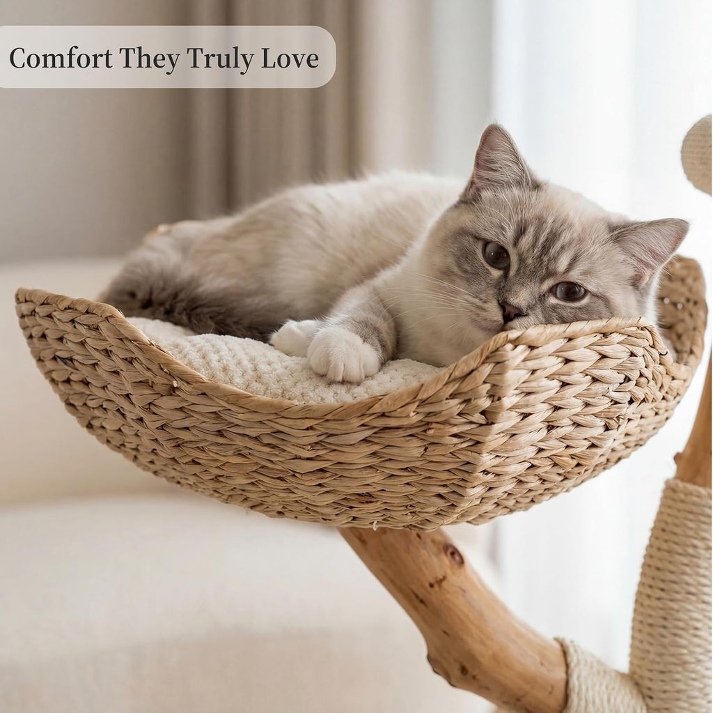 Aesthetic, Real Wood Modern Cat Tree. 46 inches Tall, Sturdy, Solid Natural Wood Tower for Large Cats. Scratching