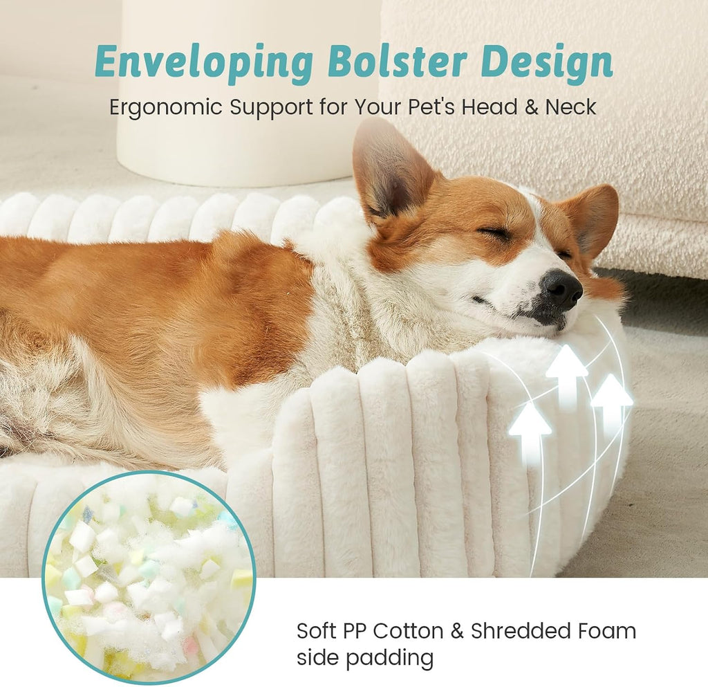 Cute Pet Bed for Small Dogs & Cats - Washable Rectangle Dog Bed with Anti-Slip Bottom, Soft Calming Cat & Puppy Bed
