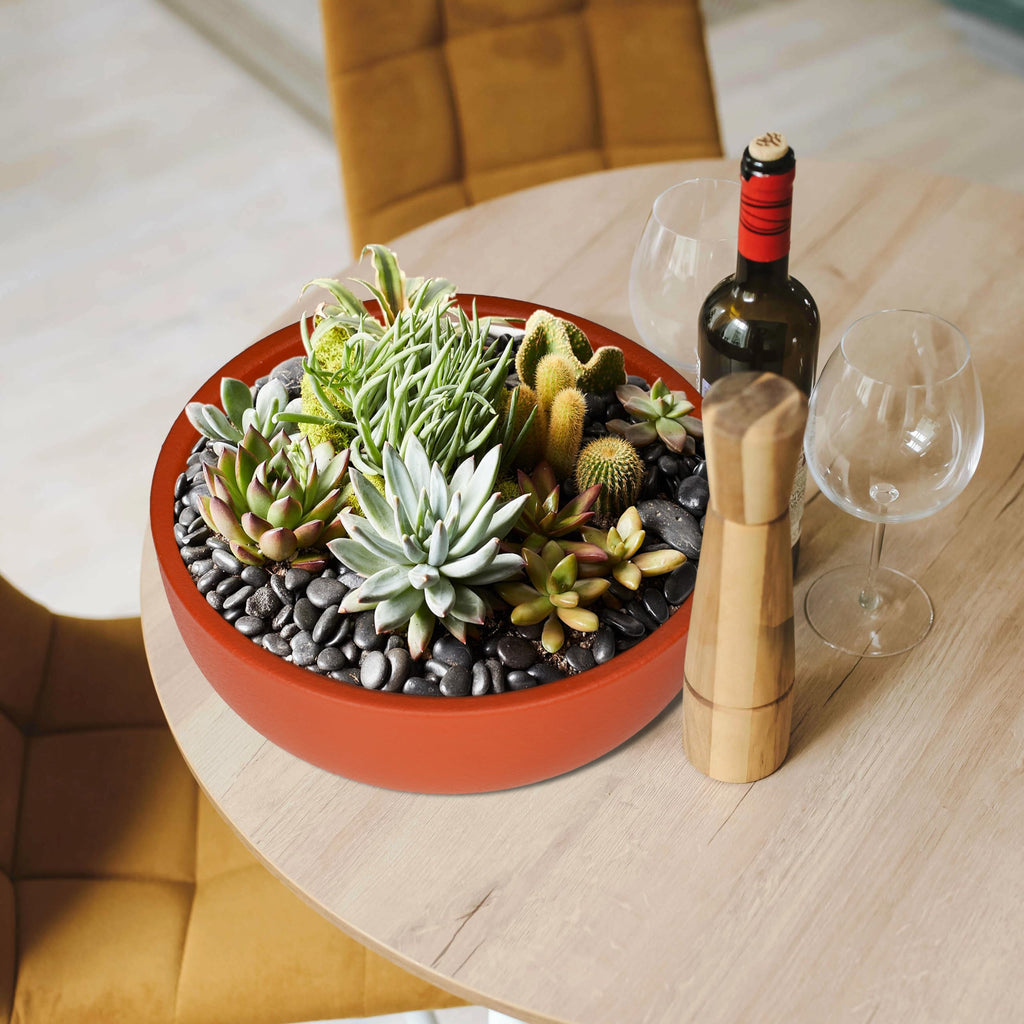 10 Inch Large Terracotta Planter Pot, Clay Succulent Bonsai Planter with Drainage Hole and Bamboo Saucer for Indoor