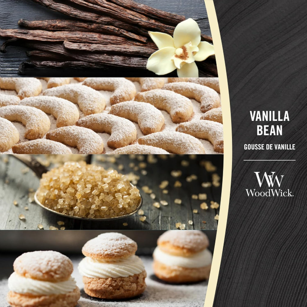 Candle Elipsa Vanilla Bean 76112E
