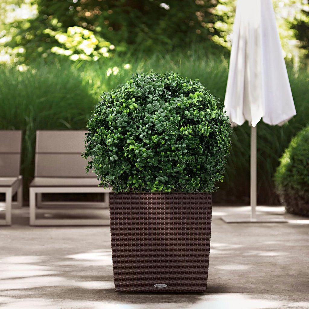 21-Inch Artificial Topiary Boxwood Ball Trees (Set of Two) - Lifelike, UV-Resistant Decor for Indoor & Outdoor Use
