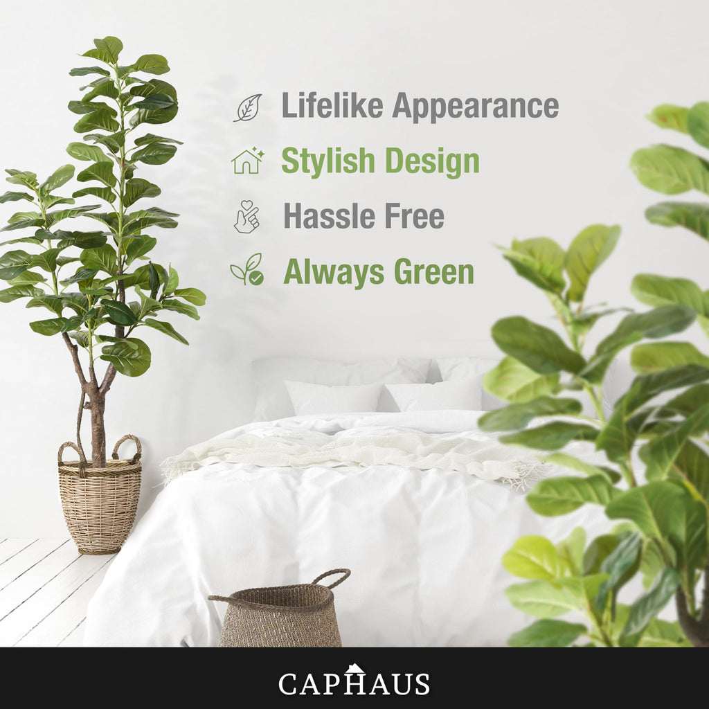Artificial Fiddle Leaf Fig Tree, 6/7 Feet in Pot with Dried Moss, for Indoor House Home Office Store, Potted Ficus