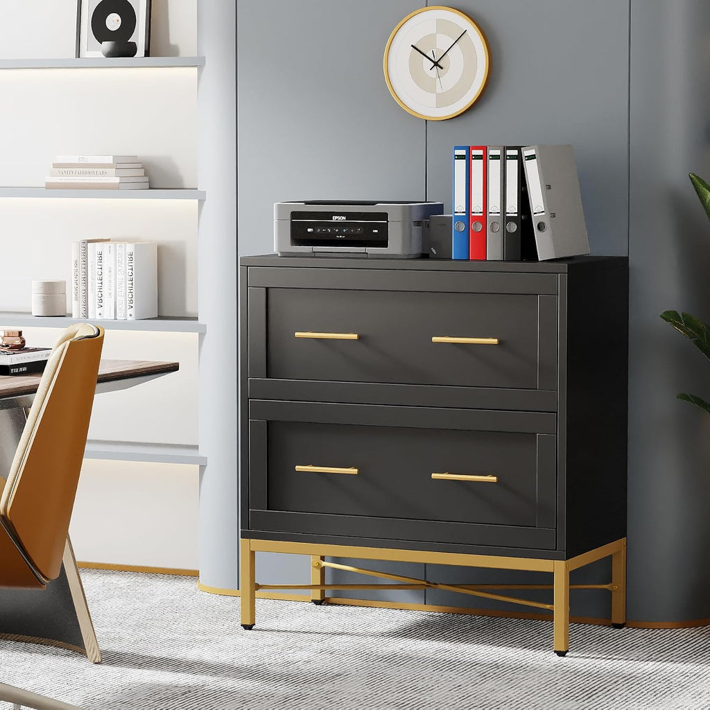 2 Drawer File Cabinet, Modern Wood Lateral Filing Cabinet for Letter/Legal/A4 Size, Large File Storage Cabinets