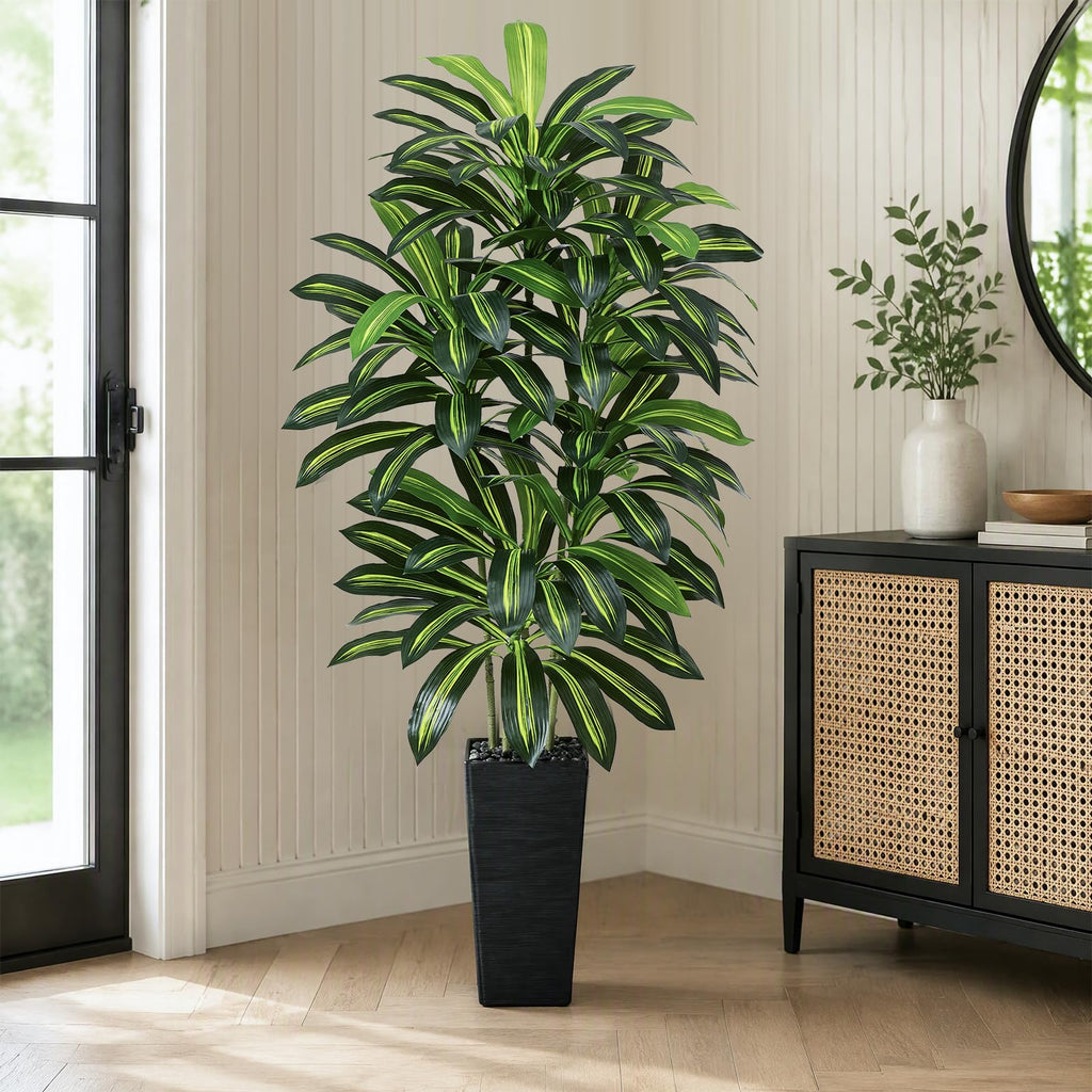 Artificial Dracaena Tree 5FT / Black Planter, Tall Plants Indoor