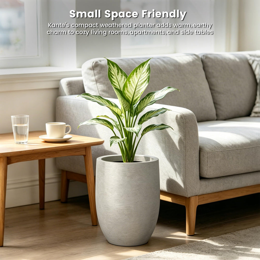 11.8" Tall Round Concrete Planter, Modern Curved Design Plant Pot