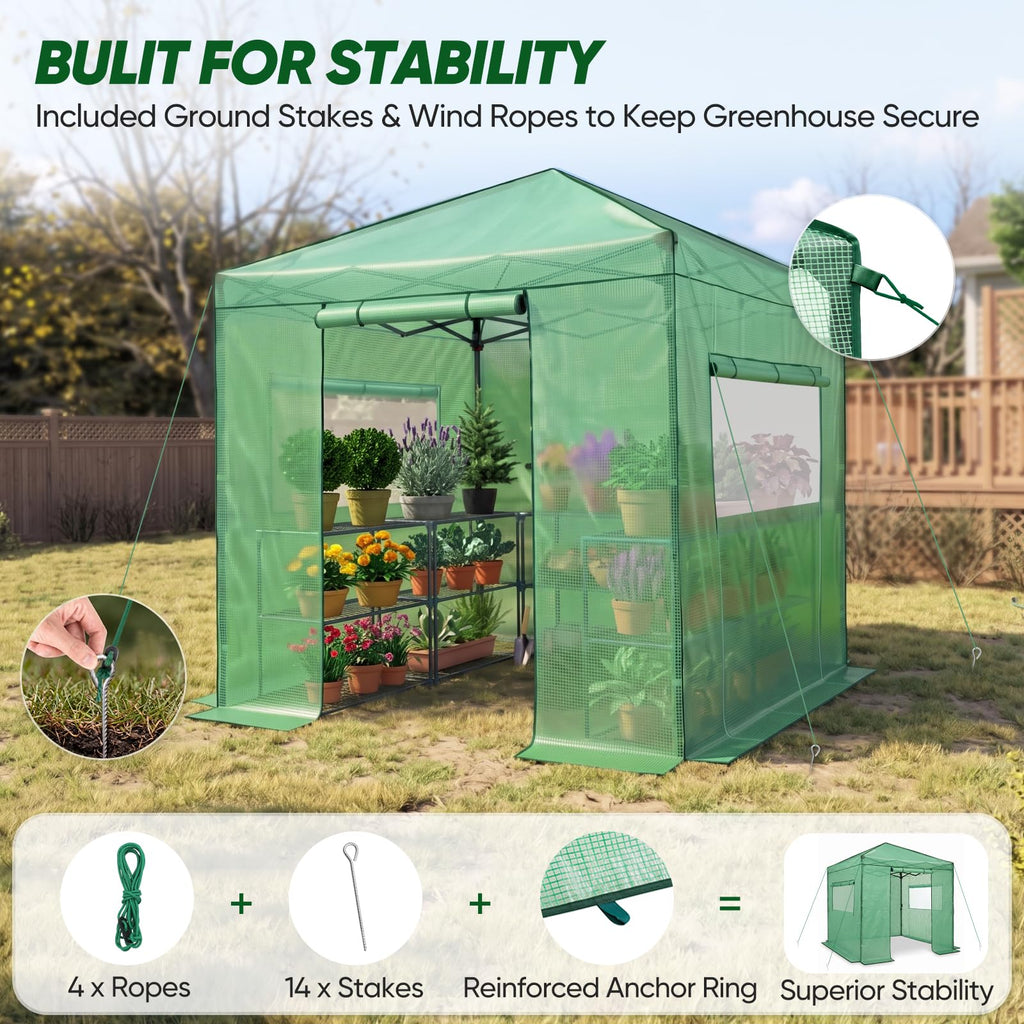 8x8 Easy Setup Pop Up Greenhouse, Clear/Green